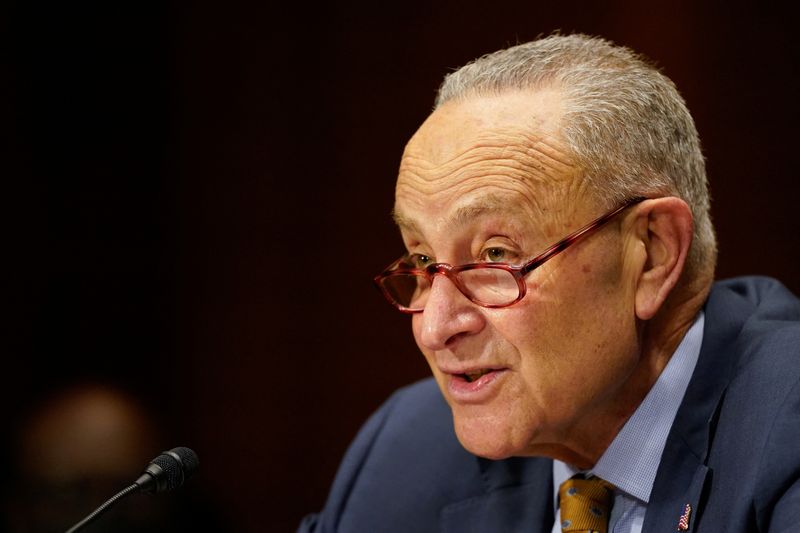 &copy; Reuters. U.S. Senate Majority Leader Chuck Schumer (D-NY) speaks on behalf of Nina Morrison, nominated to be U.S. District Judge for the Eastern District of New York, before a U.S. Senate Judiciary Committee hearing on Capitol Hill in Washington, U.S. February 16,