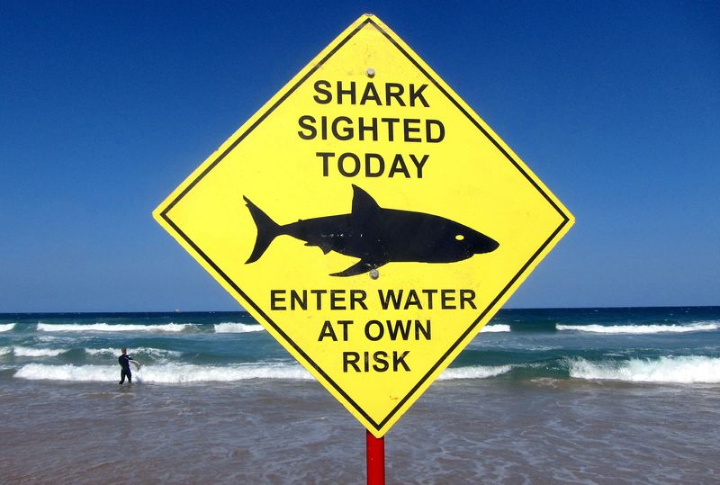 © Reuters. لافتة تحذر من وجود أسماك القرش على شاطئ مانلي في استراليا. صورة من أرشيف رويترز. 
