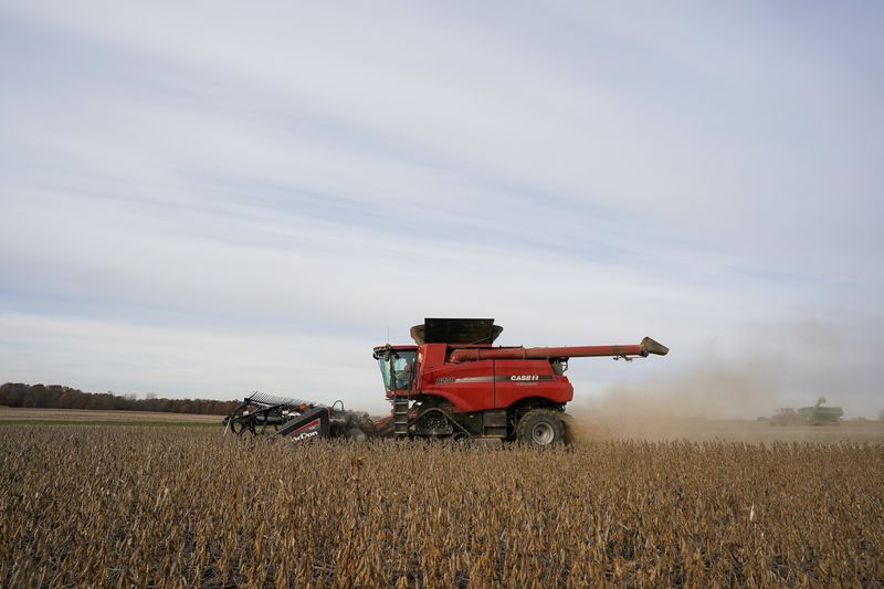 © Reuters. Soybeans are harvested from a field on Hodgen Farm in Roachdale, Indiana, U.S. November 8, 2019.  REUTERS/Bryan Woolston