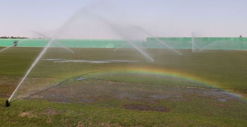 &copy; Reuters. Grama cultivada em Umm Slal, em Doha, no Catar
03/02/2022 REUTERS/Ibraheem Al Omari