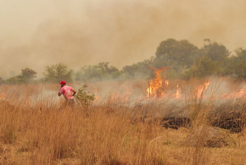 &copy; Reuters. Incêndios que atingem província argentina de Corrientes
15/02/2022 REUTERS/Sebastian Toba