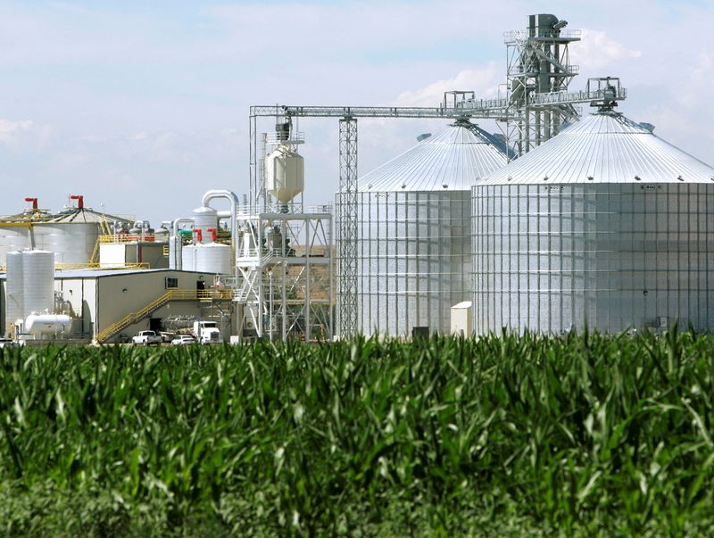 &copy; Reuters. FILE PHOTO: An ethanol plant with its giant corn silos next to a cornfield in Windsor, Colorado July 7, 2006/File Photo