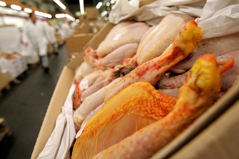 &copy; Reuters. Frangos e outras aves expostas para venda em mercado perto de Paris. 
21/02/2006 
REUTERS/Franck Prevel