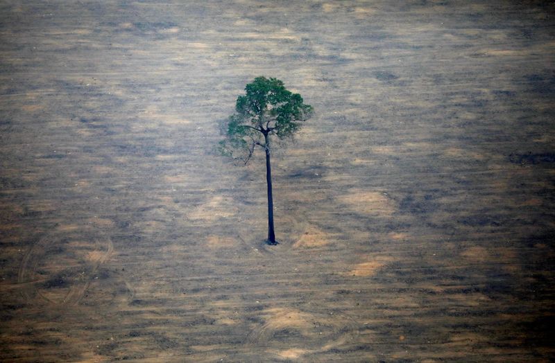 &copy; Reuters. FILE PHOTO: An aerial view shows a deforested plot of the Amazon near Porto Velho, Rondonia State, Brazil, September 17, 2019. REUTERS/Bruno Kelly