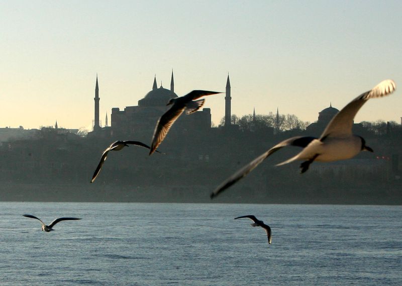 &copy; Reuters. Seagulls fly over the Bosphorus straits in Istanbul March 4, 2006. In the background is the sixth century Byzantinian monument of St. Sofia (Ayasofya). REUTERS/Fatih Saribas