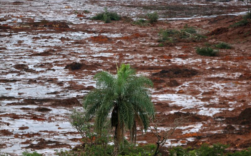 &copy; Reuters. Visão de área atingida por desastre de barragem em Brumadinho
26/01/2019
REUTERS/Adriano Machado