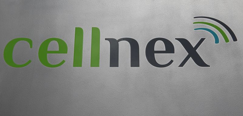 Cellnex's annual net loss more than doubles as costs swell