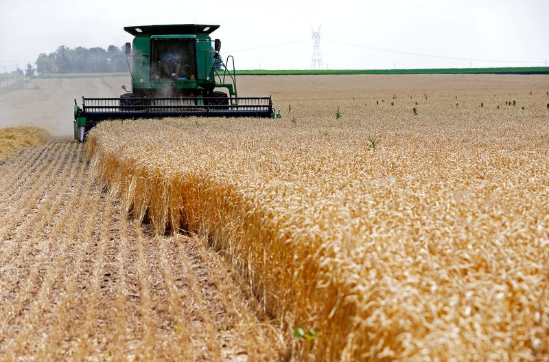 &copy; Reuters. FILE PHOTO - A combine drives over stalks of soft red winter wheat during the harvest on a farm in Dixon, Illinois, July 16, 2013.    REUTERS/Jim Young/File Photo