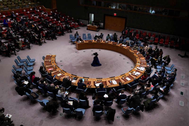© Reuters. مجلس الأمن الدولي التابع للأمم المتحدة خلال جلسة في مقر المنظمة الدولية بنيويورك يوم الأحد. تصوير:ديفيد 