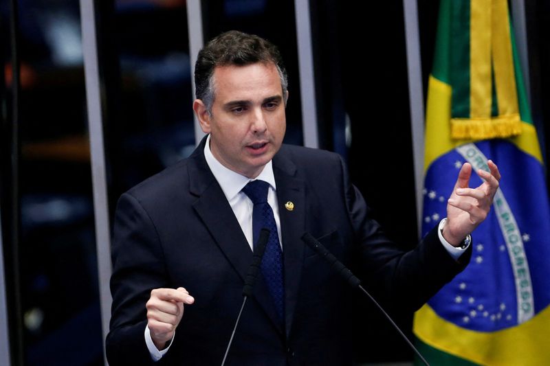 &copy; Reuters. Senator Rodrigo Pacheco speaks during a senate session to elect the president of the Brazilian Senate in Brasilia, Brazil February 1, 2021. REUTERS/Adriano Machado