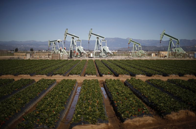 &copy; Reuters. Oil pump jacks are seen next to a strawberry field in Oxnard, California February 24, 2015. REUTERS/Lucy Nicholson/Files