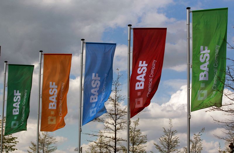&copy; Reuters. FILE PHOTO: Flags of German chemicals company BASF are pictured in Monheim, April 20, 2012. REUTERS/Ina Fassbender