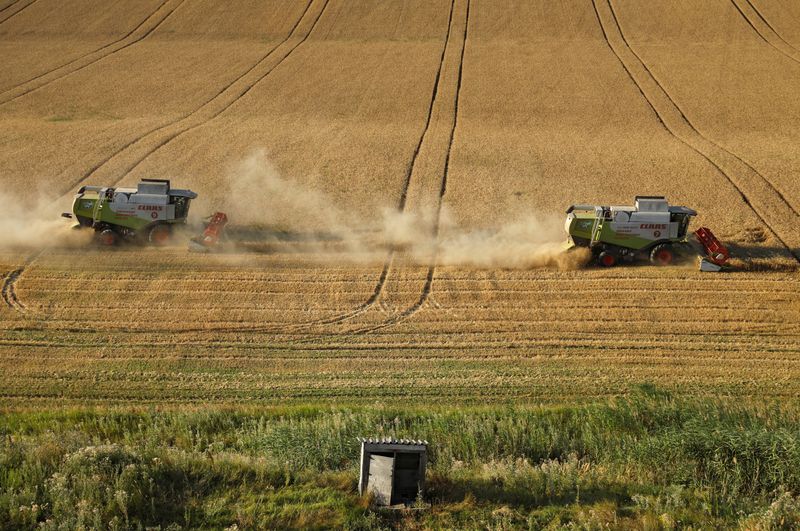 &copy; Reuters. Combines harvest wheat in a field near the village of Suvorovskaya in Stavropol Region, Russia July 17, 2021. Picture taken July 17, 2021. REUTERS/Eduard Korniyenko