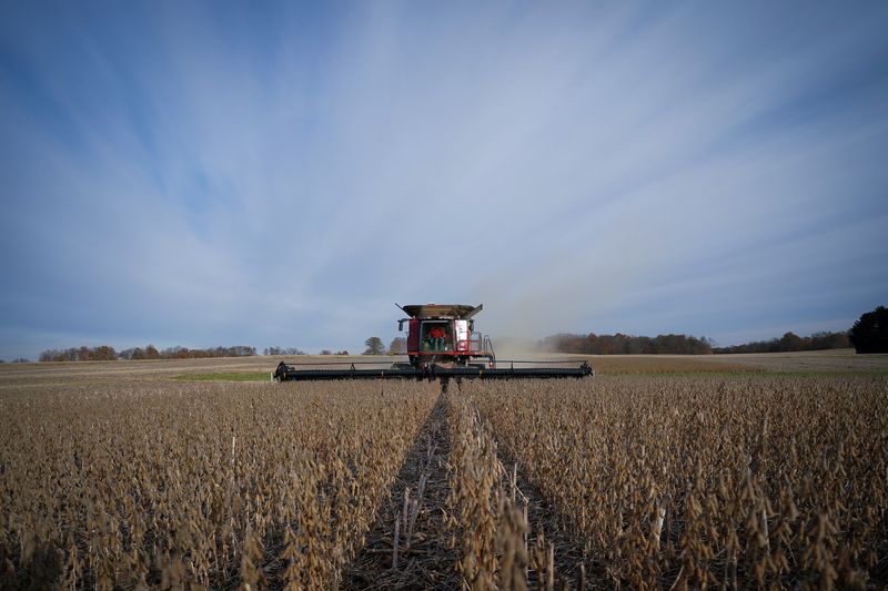 &copy; Reuters. Colheita de soja em Roachdale, Indiana (EUA)
10/09/2021
REUTERS/Bryan Woolston/File Photo