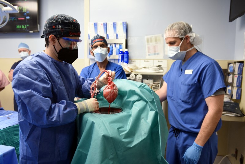 © Reuters. Surgeon Muhammad M. Mohiuddin, MD leads a team placing a genetically-modified pig heart into a storage device at the Xenotransplant lab before its transplant on David Bennett, a 57-year-old patient with terminal heart disease, at University of Maryland Medical Center in Baltimore, Maryland, U.S. January 7, 2022. Picture taken January 7, 2022.  University of Maryland School of Medicine (UMSOM)/Handout via REUTERS. 