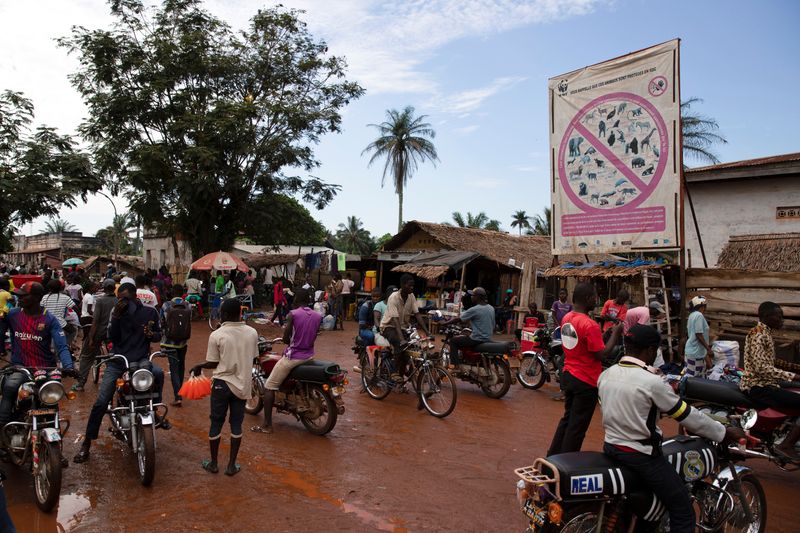 &copy; Reuters. Imagen de archivo de un cartel de WWF con una lista de especies protegidas frente a un mercado de Mbandaka, República Democrática del Congo. 19 octubre 2018. REUTERS/Thomas Nicolon 