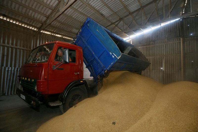 &copy; Reuters. FOTO DE ARCHIVO: Un conductor descarga un camión en un almacén de grano durante la cosecha de cebada en el pueblo de Zhovtneve, Ucrania, 14 de julio de 2016.  REUTERS/Valentyn Ogirenko/File Photo