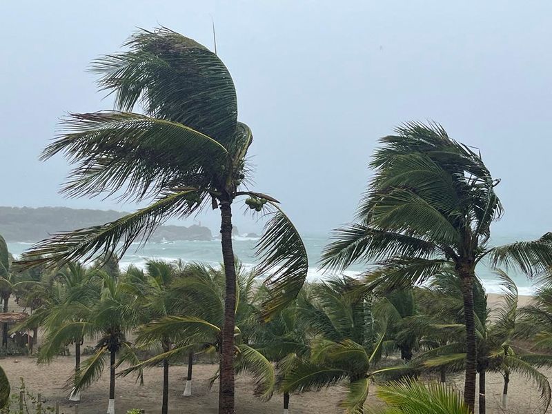 &copy; Reuters. Palm trees sway in the wind as Hurricane Agatha pounds the southern coast of Mexico, in Puerto Escondido, Oaxaca state, Mexico, May 30, 2022. REUTERS/Jose de Jesus Cortes