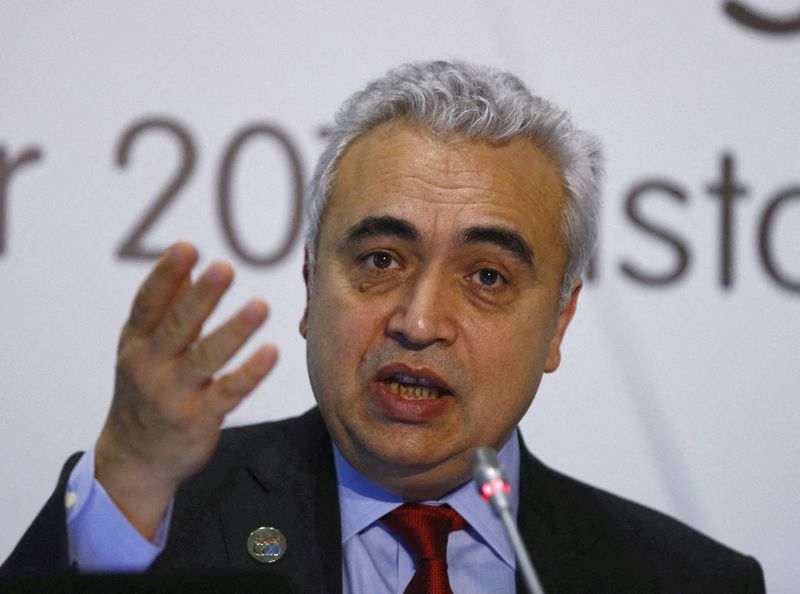 &copy; Reuters. FILE PHOTO: International Energy Agency (IEA) chief Fatih Birol speaks at a news conference on the sidelines of G20 Energy Ministers Meeting in Istanbul, Turkey, October 2, 2015. REUTERS/Osman Orsal/File Photo