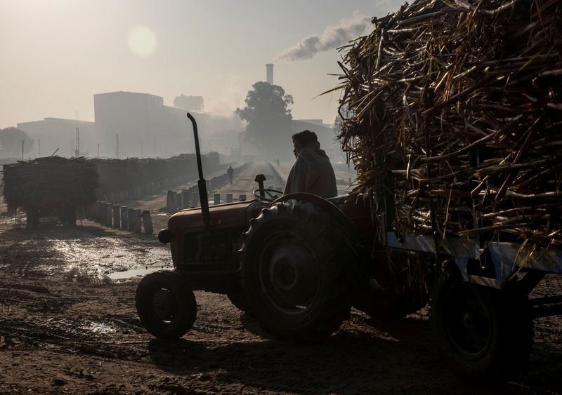 &copy; Reuters. Carregamento de cana-de-açúcar em Baghpat, Índia
24/05/2022
REUTERS/Danish Siddiqui    