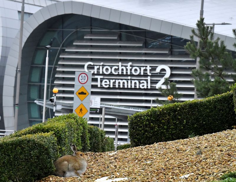 &copy; Reuters. FILE PHOTO: An Irish Hare is seen at Dublin Airport, as the spread of the coronavirus disease (COVID-19) continues in Dublin, Ireland, December 3, 2021. REUTERS/Clodagh Kilcoyne
