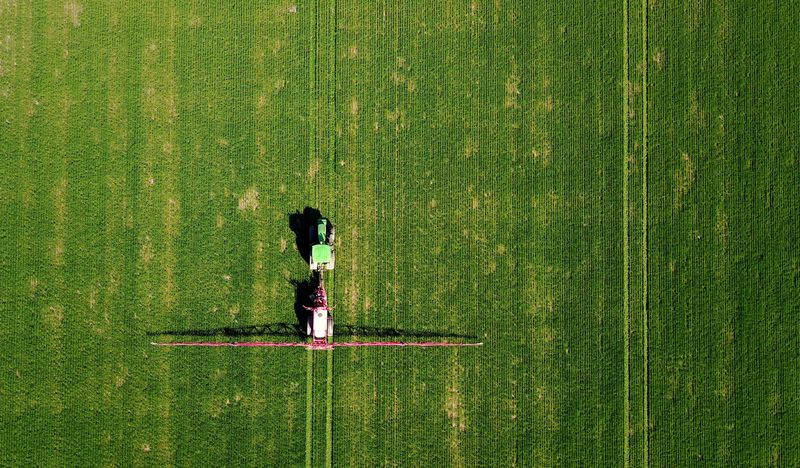 &copy; Reuters. 　６月２日、オーストラリアの２０２２年の小麦生産は、好天候による作付け面積増加を背景に３年連続の豊作が見込まれている。写真はオーストラリアのマララの小麦畑で２０１８年８月