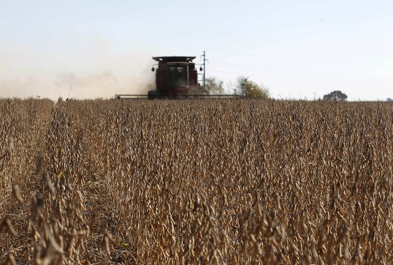 © Reuters. Plantação de soja em Chacabuco, Buenos Aires, Argentina
24/04/2013
REUTERS/Enrique Marcarian