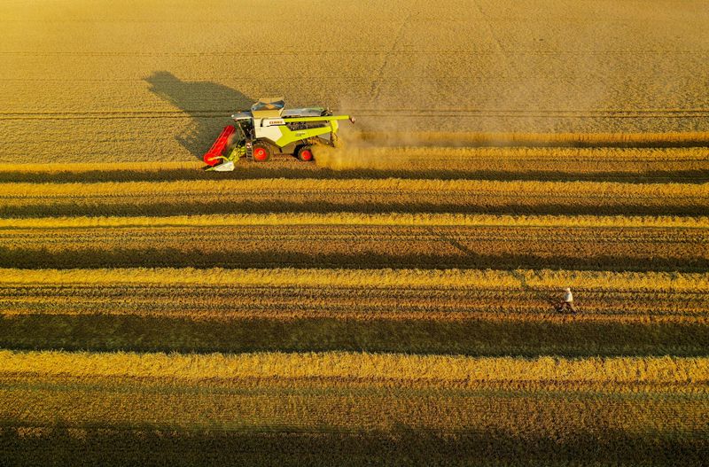&copy; Reuters. Un agricultor francés cosecha su campo de trigo en Thun-l'Évêque, en el norte de Francia, 22 de julio de 2021. REUTERS/Pascal Rossignol
