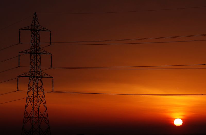 &copy; Reuters. Linha de transmissão de energia
13/03/2019
 REUTERS/Amr Abdallah Dalsh