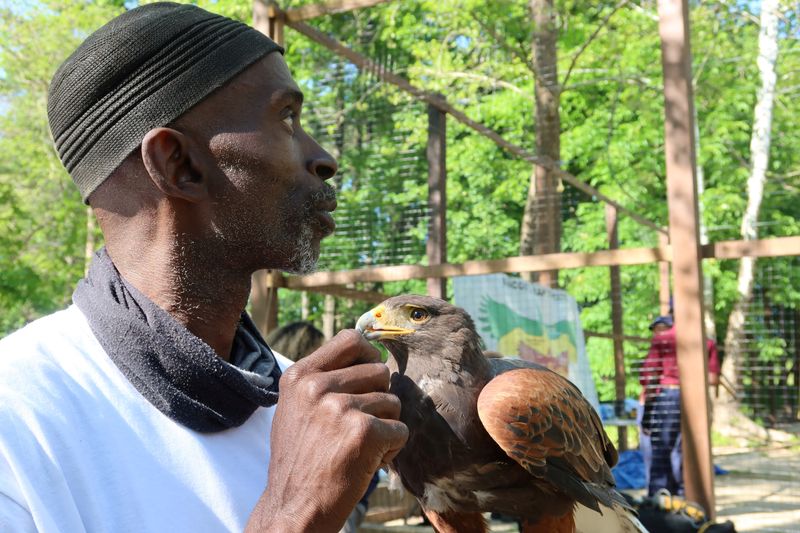 U.S. drug dealer turned master falconer extols 'healing power' of wildlife