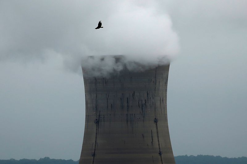 &copy; Reuters. 　６月６日、ロイター／イプソスが先週実施した米世論調査で、原発支持は４５％と半分に満たなかった。反対が３３％で、分からないが２２％だった。ペンシルバニア州ゴールズボロで２