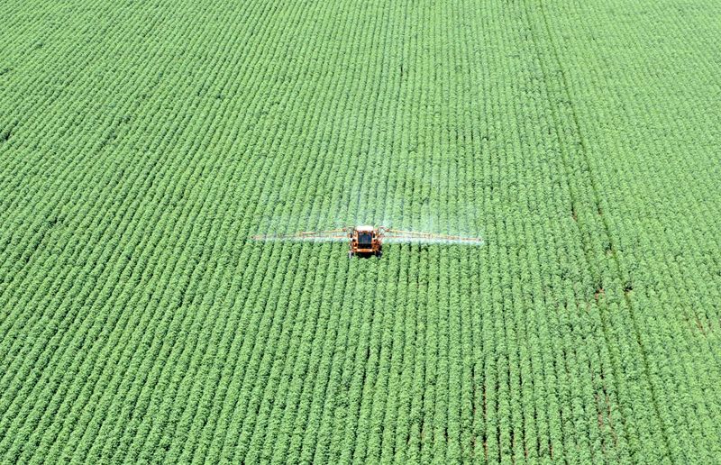 &copy; Reuters. Lavoura de soja em Primavera do Leste (MT) 
16/03/2004
REUTERS/Paulo Whitaker