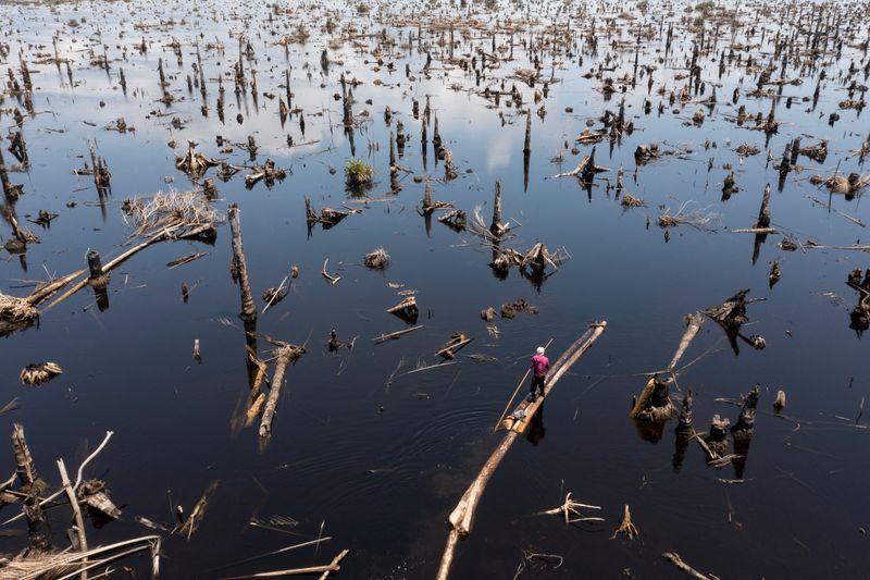 © Reuters. Logger, Egbontoluwa Marigi, 61, paddles his logs out of the flooded forest floor onto the river in Ipare, Ondo State, Nigeria, October 14, 2021. REUTERS/Nyancho NwaNri  