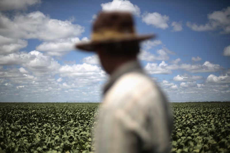 &copy; Reuters. Agricultor observa lavoura de soja em Barreiras (BA) 
06/02/2014
REUTERS/Ueslei Marcelino