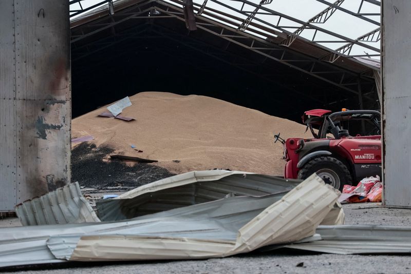 &copy; Reuters. FILE PHOTO: Seeds are seen in a grain silos destroyed after it was shelled repeatedly, amid Russia's invasion of Ukraine, in Donetsk region, Ukraine May 31, 2022.  REUTERS/Serhii Nuzhnenko