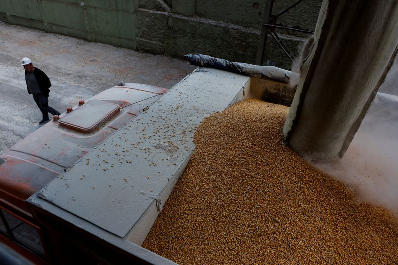 &copy; Reuters. FILE PHOTO: Sergei Yarosh, head of Mlybor (flour mill) enterprise, passes a truck being loaded with grains at the facility after it was shelled repeatedly, amid the Russian invasion of Ukraine, in Chernihiv region, Ukraine May 24, 2022. REUTERS/Edgar Su/F
