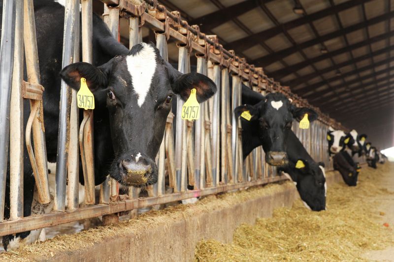 &copy; Reuters. 　６月９日、１４兆ドルを運用する機関投資家のグループは、国連食糧農業機関（ＦＡＯ）に書簡を送り、農業部門の温室効果ガスを削減するため世界的なロードマップ（行程表）を策定す