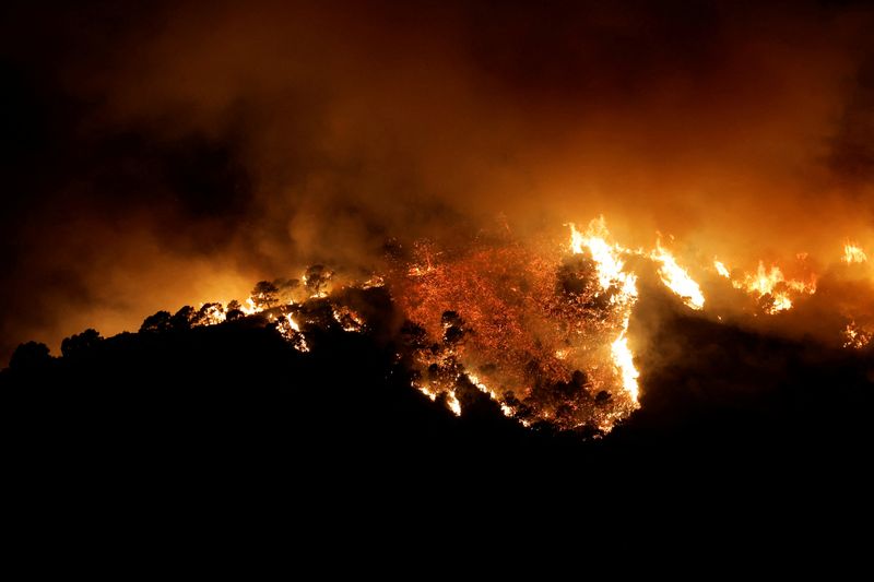 &copy; Reuters. Un incendio forestal en Benahavís, España. 8 de junio de 2022. REUTERS/Jon Nazca   