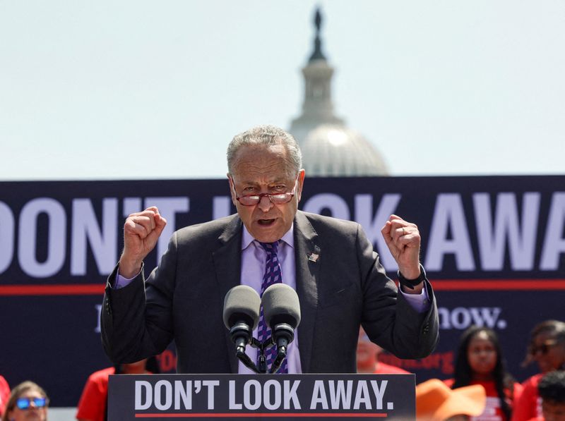 &copy; Reuters. Senate Majority Leader Chuck Schumer (D-NY) speaks at a rally with gun violence prevention organisations, gun violence survivors and hundreds of gun safety supporters demanding gun legislation, outside the United States Capitol in Washington, U.S., June 8