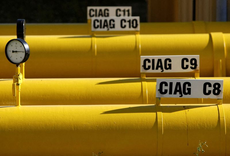 &copy; Reuters. FILE PHOTO: A gas installation is pictured at a Gaz-System gas compressor station in Rembelszczyzna, outside Warsaw October 13, 2010.  REUTERS/Kacper Pempel/File Photo