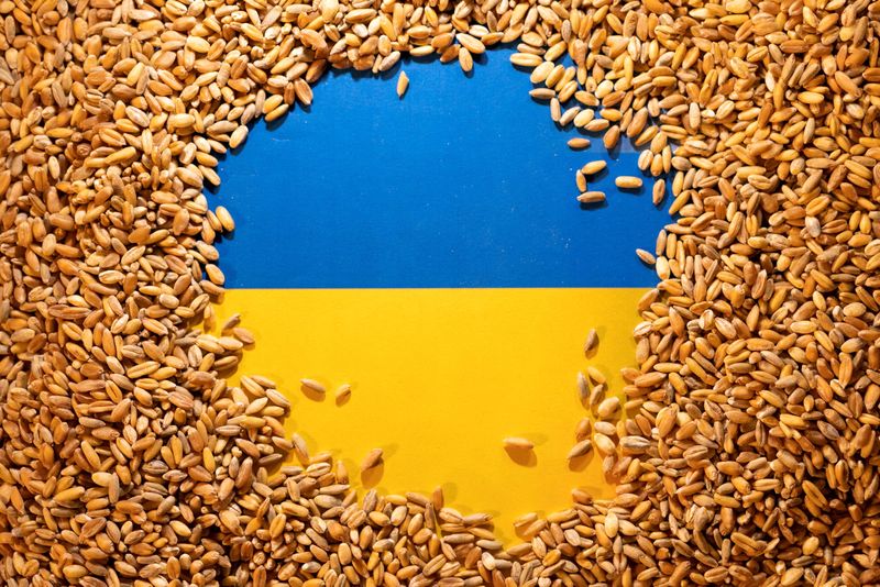 &copy; Reuters. FILE PHOTO: Ukrainian flag is covered with grains in this picture illustration taken May 9, 2022. REUTERS/Dado Ruvic/Illustration/File Photo