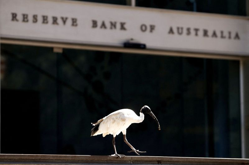 &copy; Reuters. FILE PHOTO: An ibis bird perches next to the Reserve Bank of Australia headquarters in central Sydney, Australia February 6, 2018. REUTERS/Daniel Munoz/