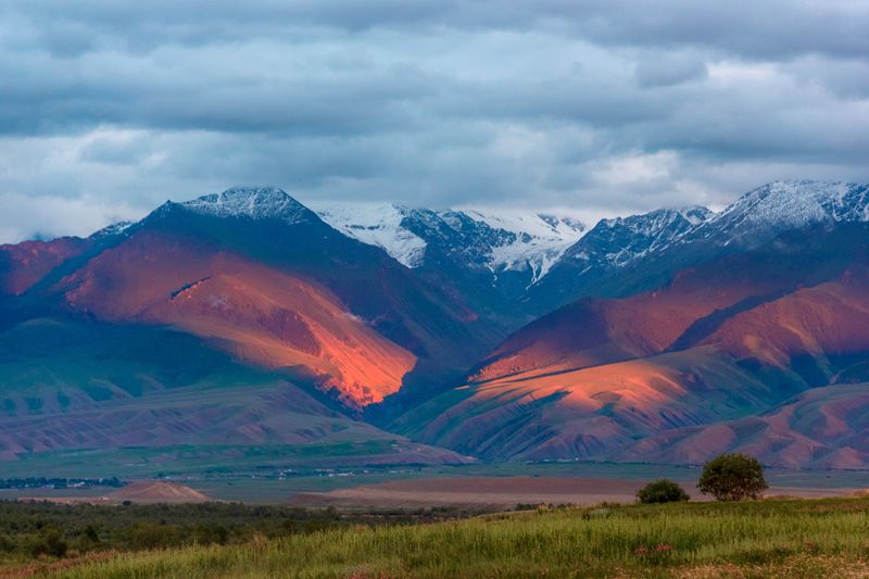 &copy; Reuters. A view of the Tian Shan mountains in Kyrgyzstan, the region in Central Asia where researchers studying ancient plague genomes have traced the origins of the 14th century Black Death that killed tens of millions of people, in an undated photograph.  Lyazza