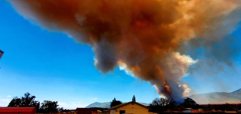 © Reuters. A view shows a fire tornado shape near Flagstaff, Arizona, U.S., June 12, 2022. Picture taken June 12, 2022. Shawn Williams/Handout via REUTERS   