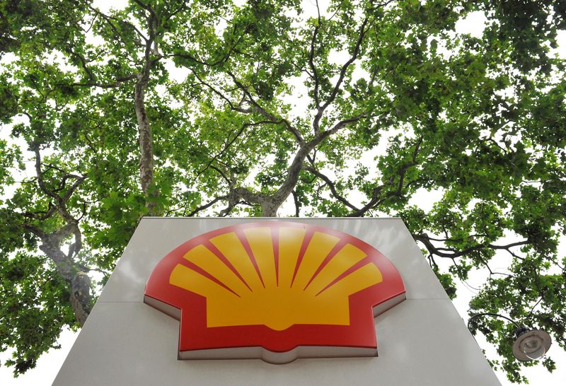 &copy; Reuters. FILE PHOTO: A Shell logo is seen under a canopy of trees in central London July 29, 2010.  REUTERS/Toby Melville