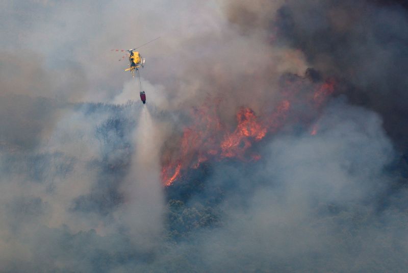&copy; Reuters. طائرة هليكوبتر تسقط مياه نهر على حريق غابات في منطقة سييرا دي لير في اسبانيا يوم الأربعاء. تصوير: فينسنت وست - رويترز.