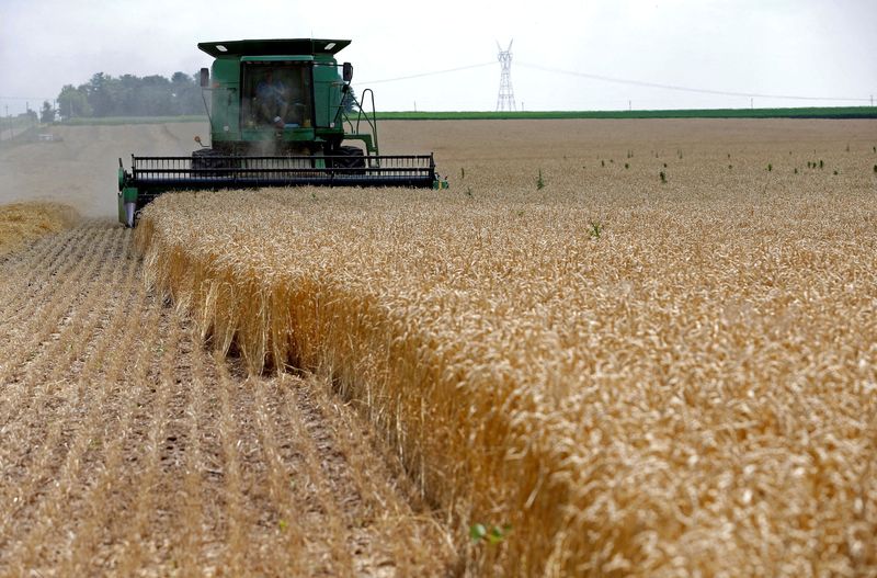 &copy; Reuters. Imagen de archivo de una cosechadora pasando por encima de espigas de trigo rojo suave de invierno durante la cosecha en una granja en Dixon, Illinois