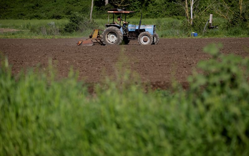 &copy; Reuters. Les régions du nord de l'Italie risquent de perdre jusqu'à la moitié de leur production agricole en raison de la sécheresse, alors que le niveau des lacs et rivières inquiète dans le pays, a alerté vendredi la confédération italienne des agricult