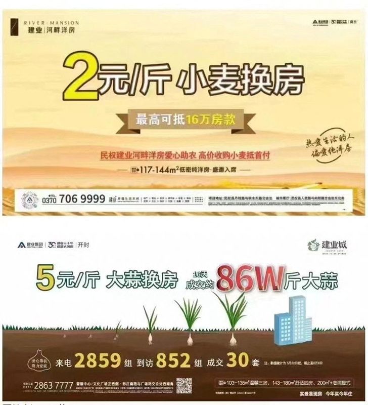 &copy; Reuters. FILE PHOTO: Screenshot of advertisement from Central China Real Estate offering to let buyers use garlic crops to make their downpayment on a property