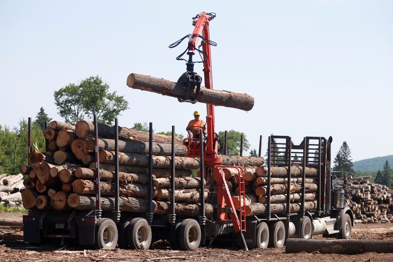Yellen says Biden not considering Canadian lumber for tariff relief